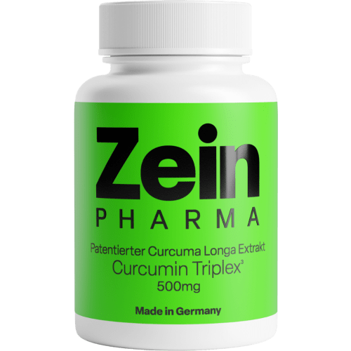 Curcumine-Triplex³ 500mg - 90 capsules