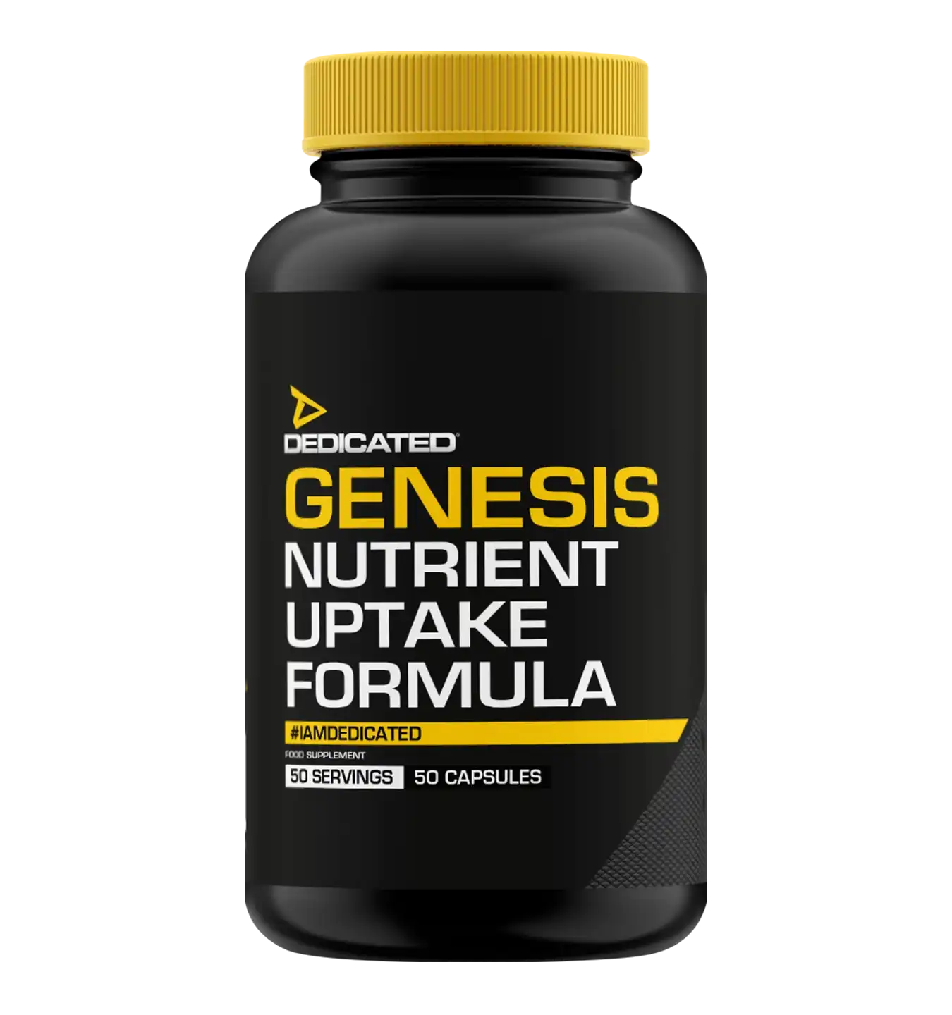 Genesis