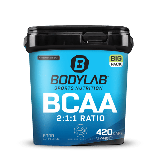 BIG PACK BCAA - 420 capsules