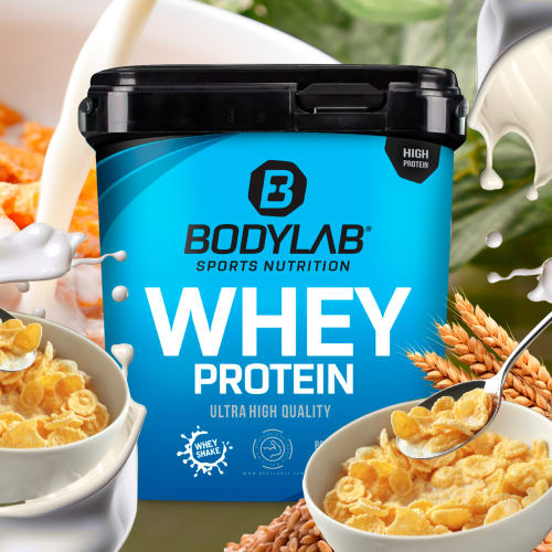Whey Protein – Bodylab24 - Cornflakes / 2 kg