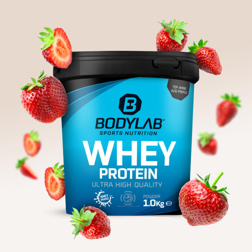 Whey Protein – Bodylab24 - Erdbeer / 1 kg
