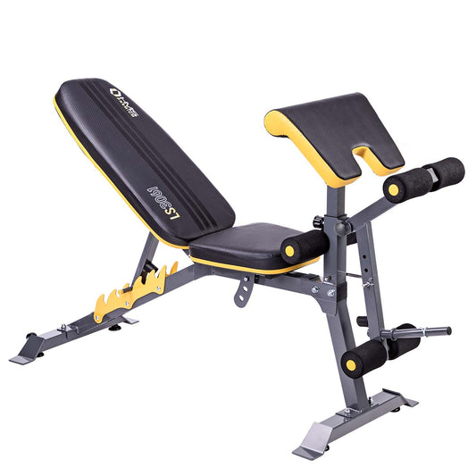HMS Premium Trainingsbank met Preacher Curl