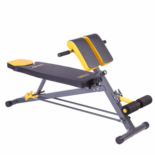 HMS Premium Verstelbare Hyperextension/Trainingsbank