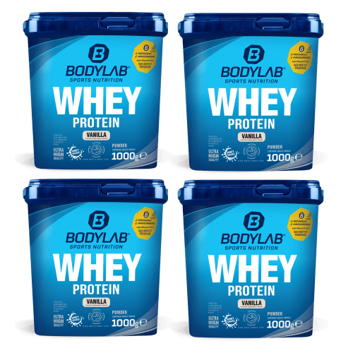 4x Whey Protein - 1000 g