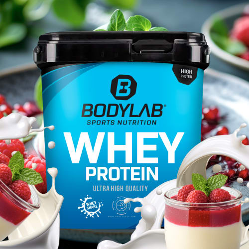 Whey Protein – Bodylab24 - Pannacotta / 2 kg