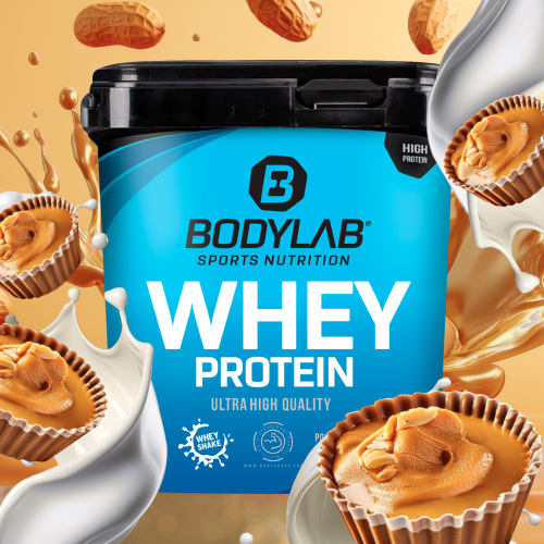 Whey Protein – Bodylab24 - Peanutbutter Cup / 1 kg