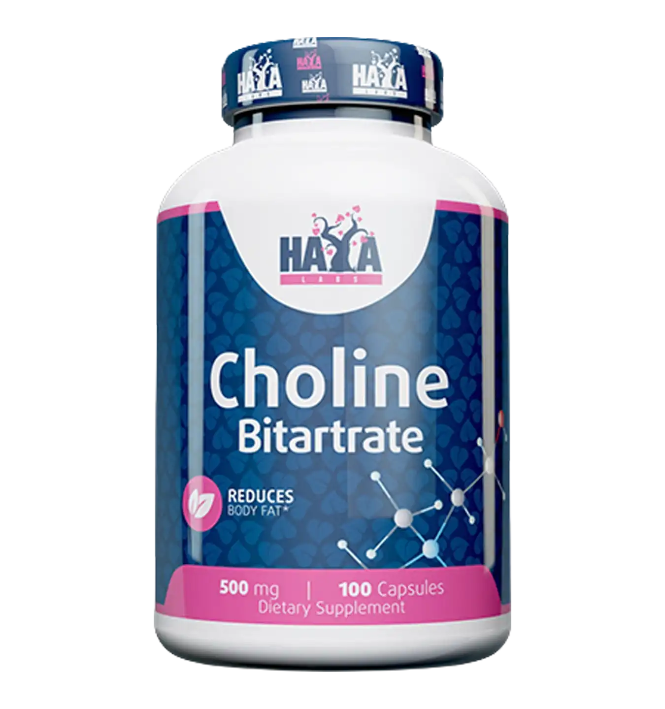 Choline Bitartrate 500mg