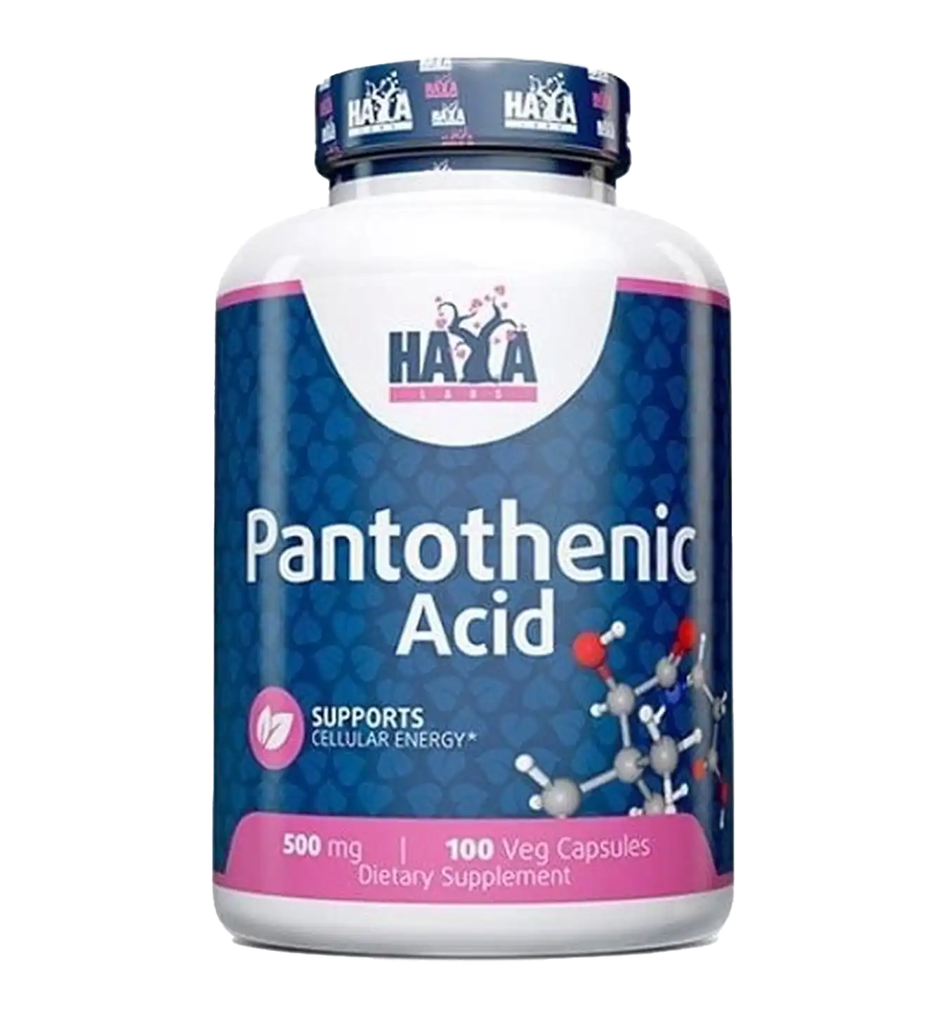 Pantothenic Acid