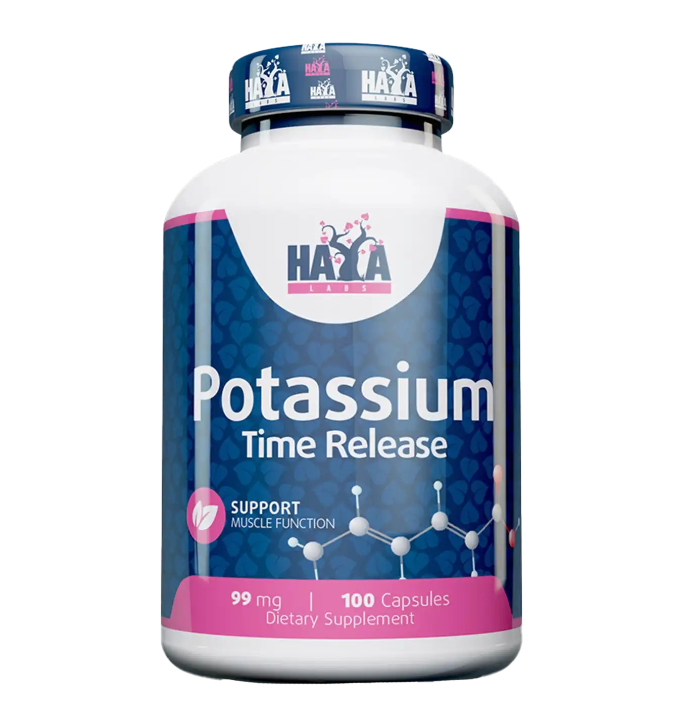 Potassium Sustained Release