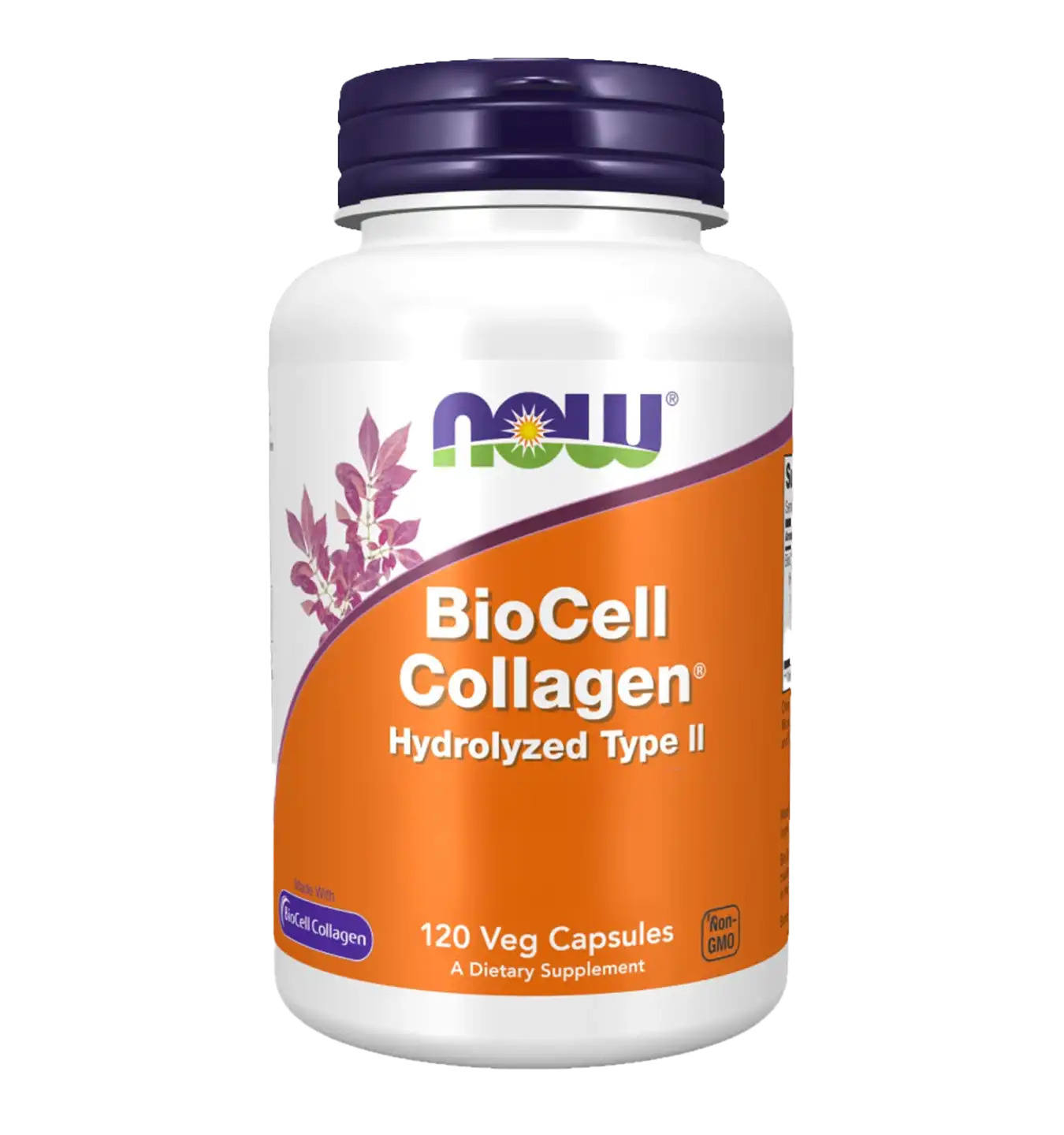 BioCell Collagen Hydrolyzed Type II
