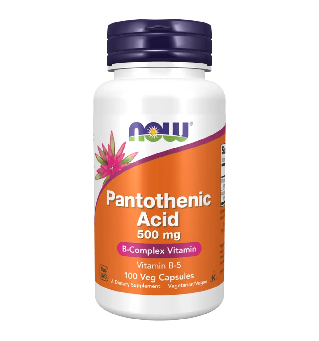 Pantothenic Acid - 100 v-caps