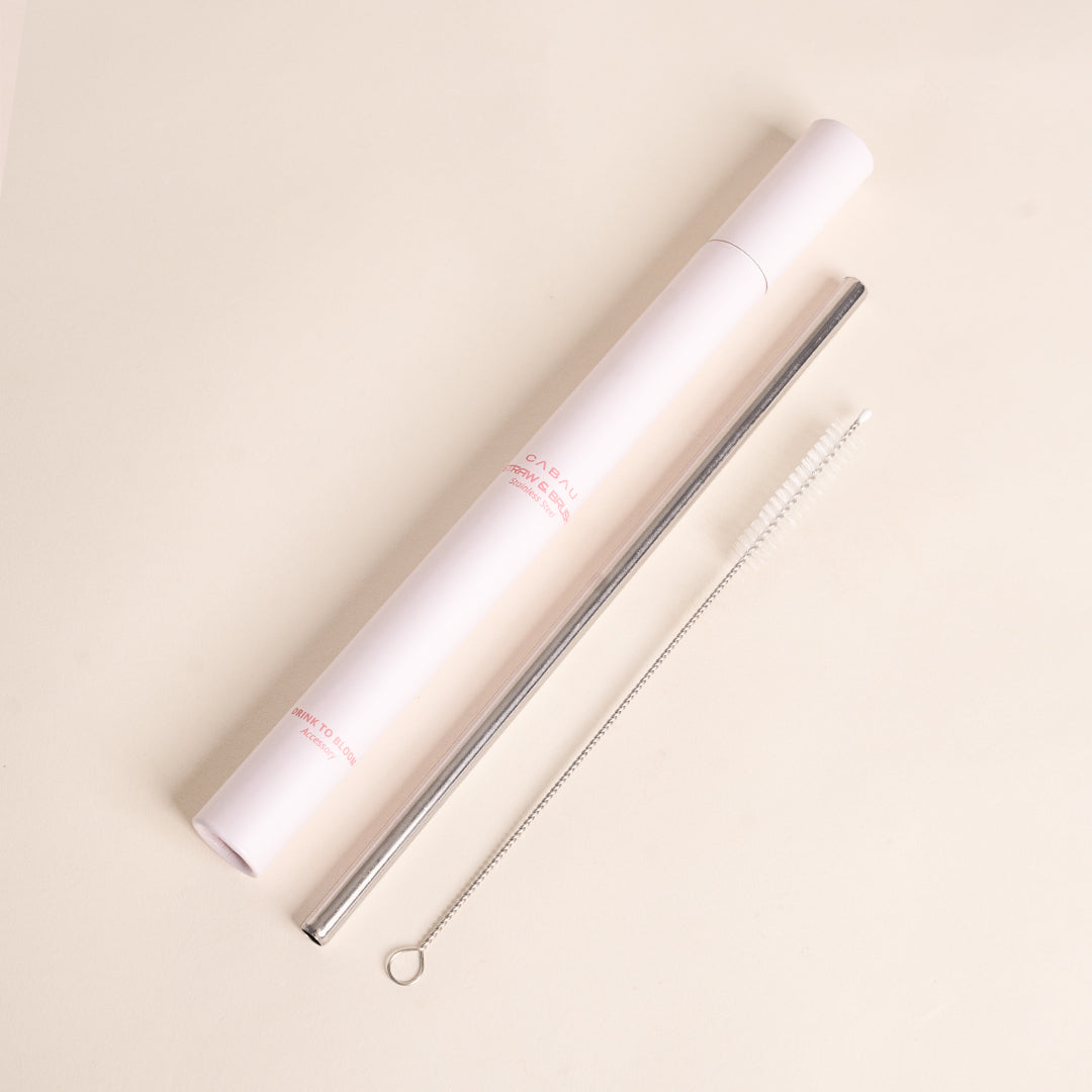 Stainless Steel Straw + Brush