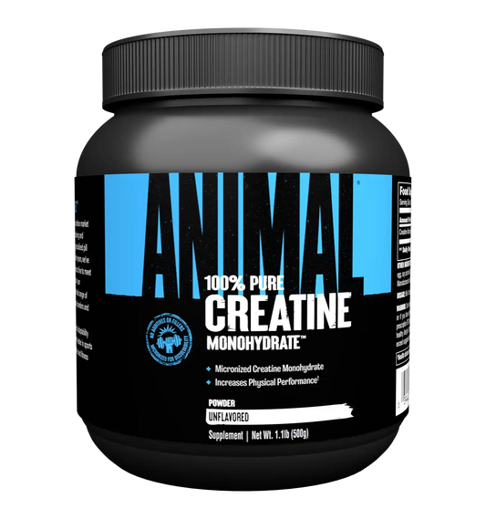 Creatine Powder - 500 g - Naturel