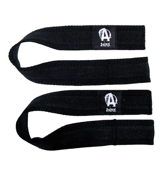 Animal Lifting Straps