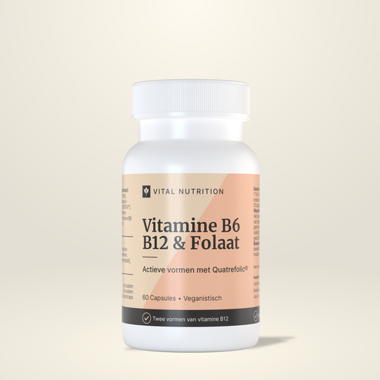 Vitamine B6 B12 & Folaat